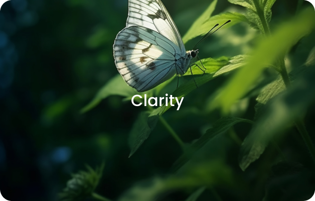 Clarity