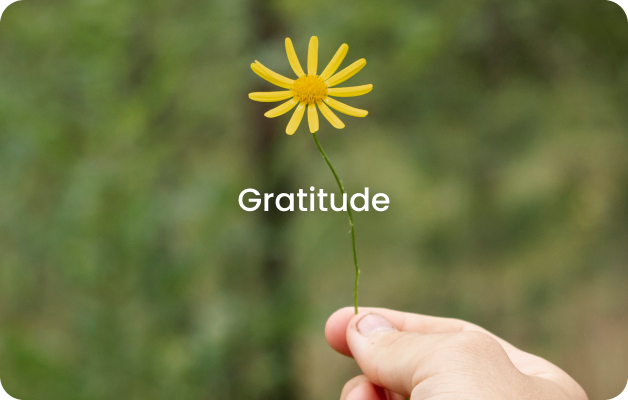 Gratitude