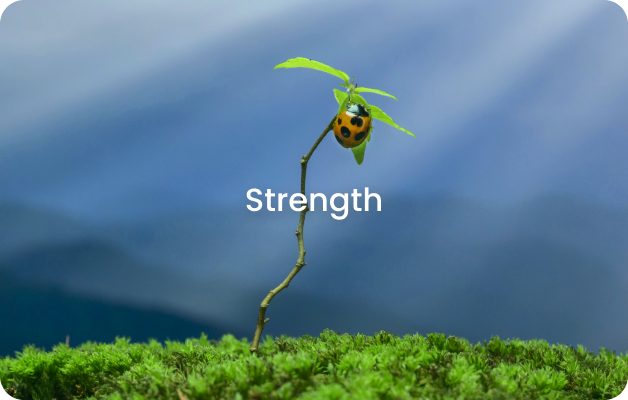 Strength